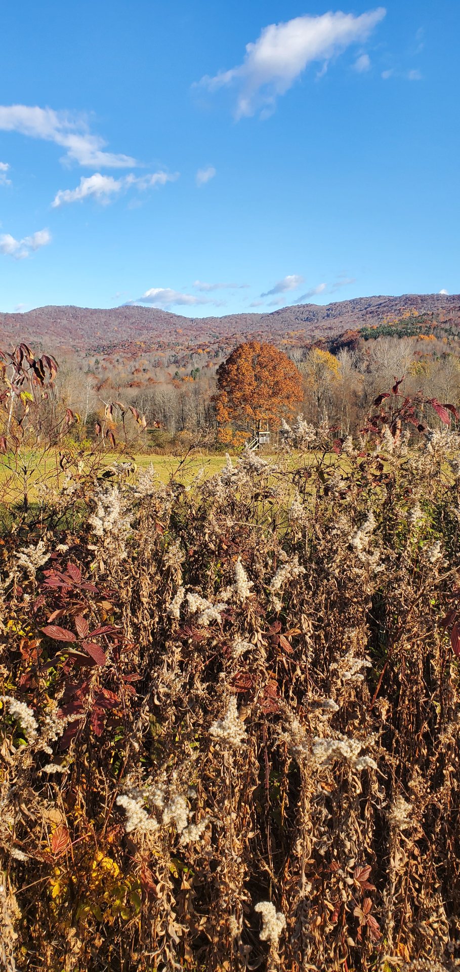 Blue sky and clouds over a Vermont field and mountain