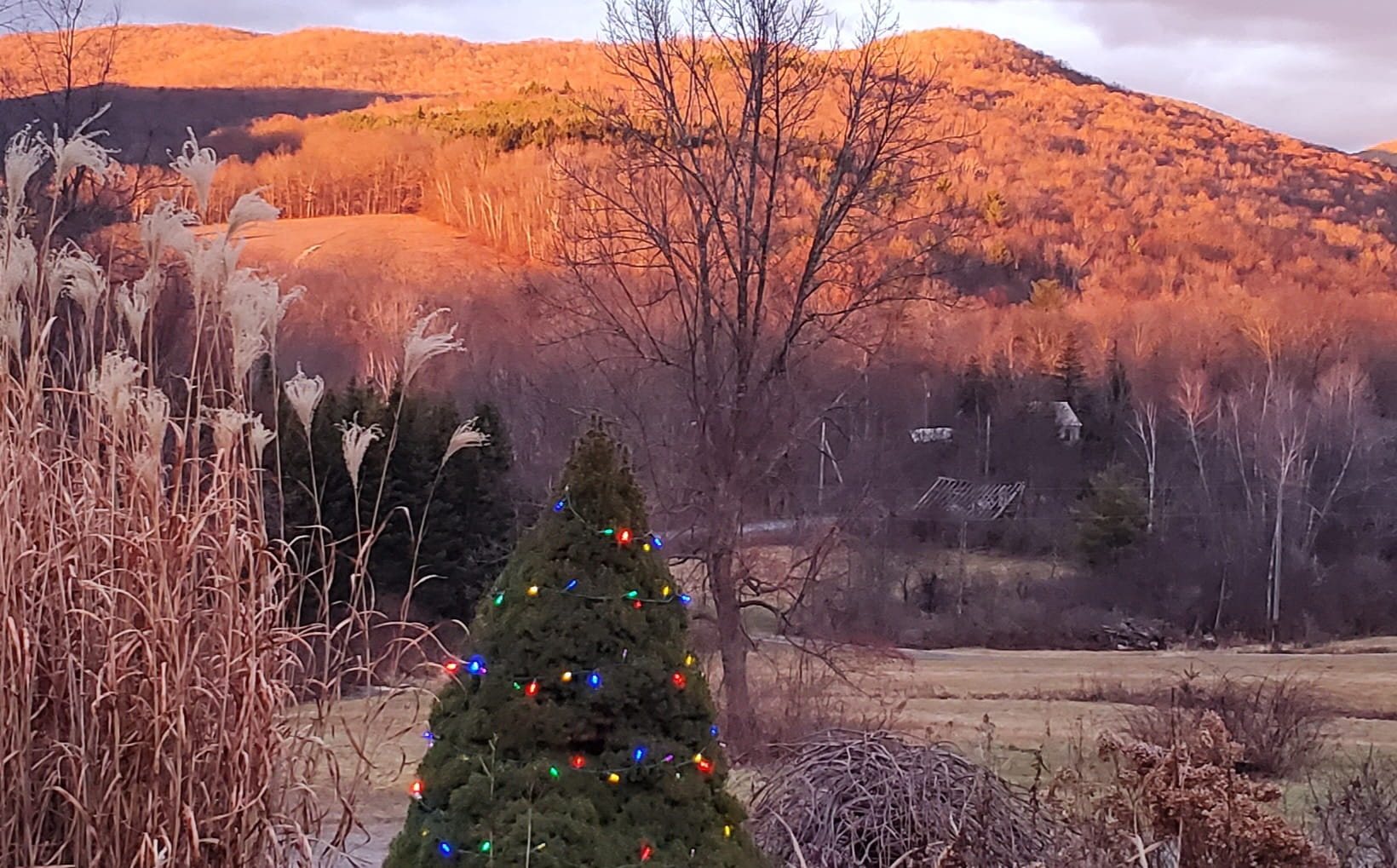 Late fall colour over the hills, seen from the Hollow